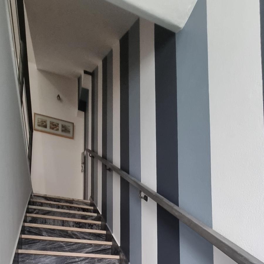 הוילה פררה דו אלנטחו Casa Da Rua Da Fonte מראה חיצוני תמונה